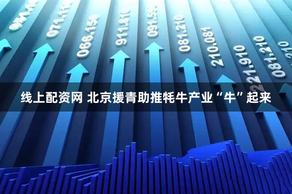 线上配资网 北京援青助推牦牛产业“牛”起来